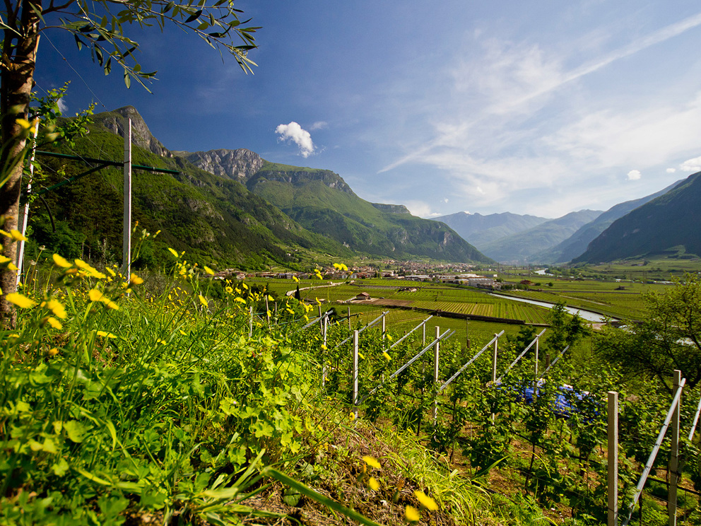 Il nostri giovani sono preziosi: la loro energia e la loro creati