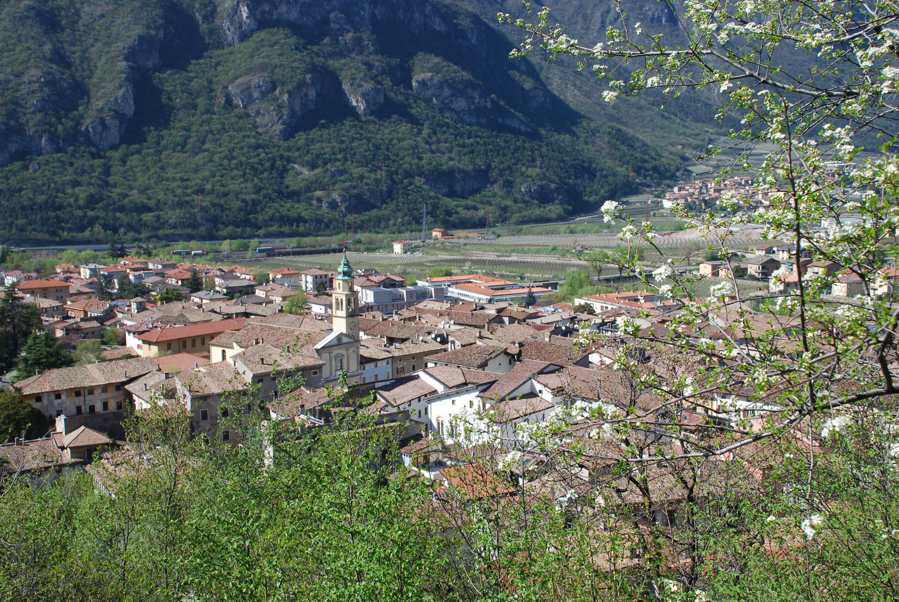 Il nostro territorio è ricco di piccole e medie imprese che generano sviluppo grazie al loro impegno quotidiano .