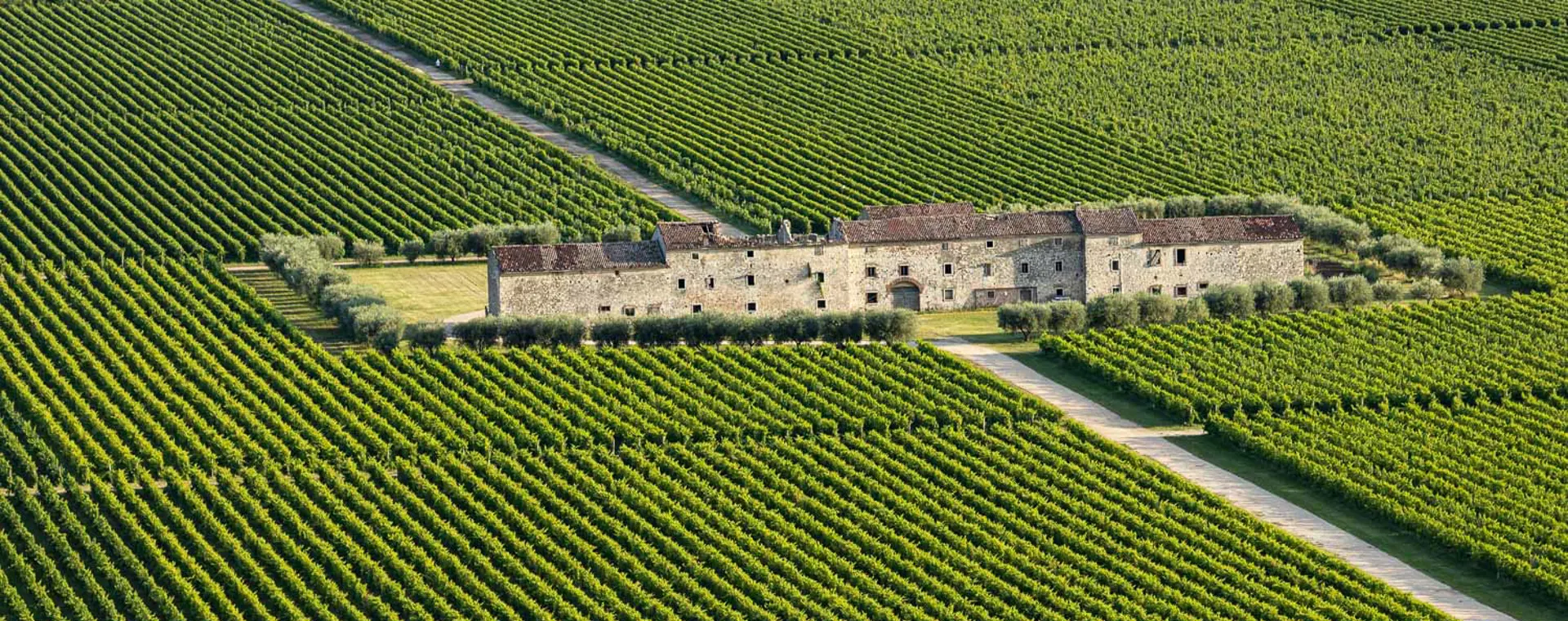 L' impegno della Cassa per l' ambiente è quotidiano, concreto e s