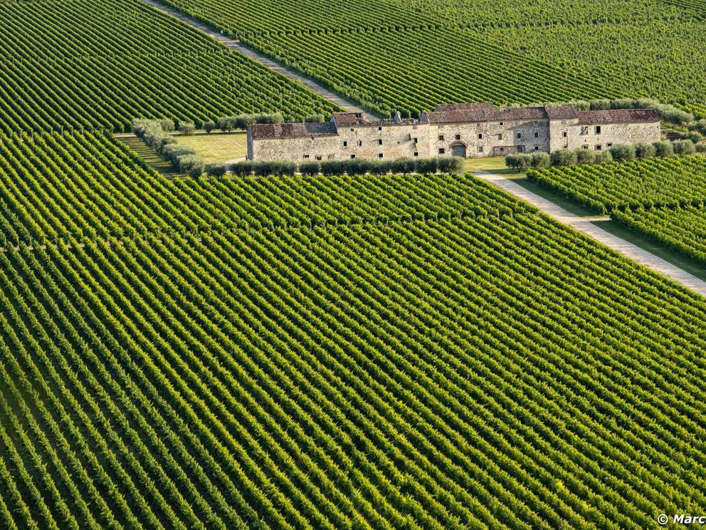 L' impegno della Cassa per l' ambiente è quotidiano, concreto e s