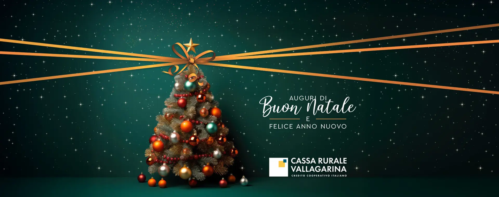 Pubblicità CRV Sito Natale 2025 